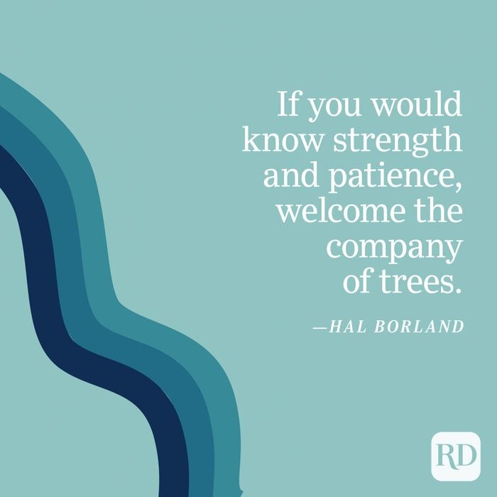 Hal Borland Uplifting Quote