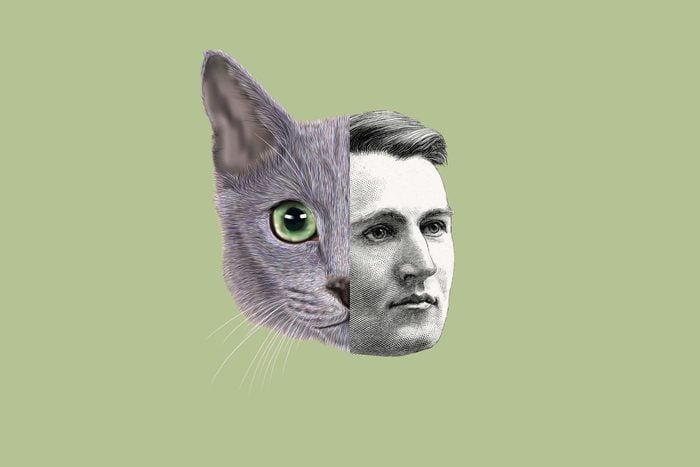 Thomas Edison is the reason you love cat videos