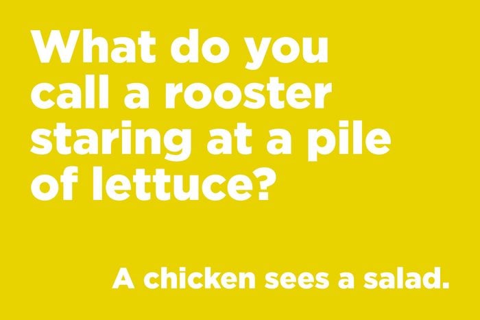 What do you call a rooster staring at a pile of lettuce?