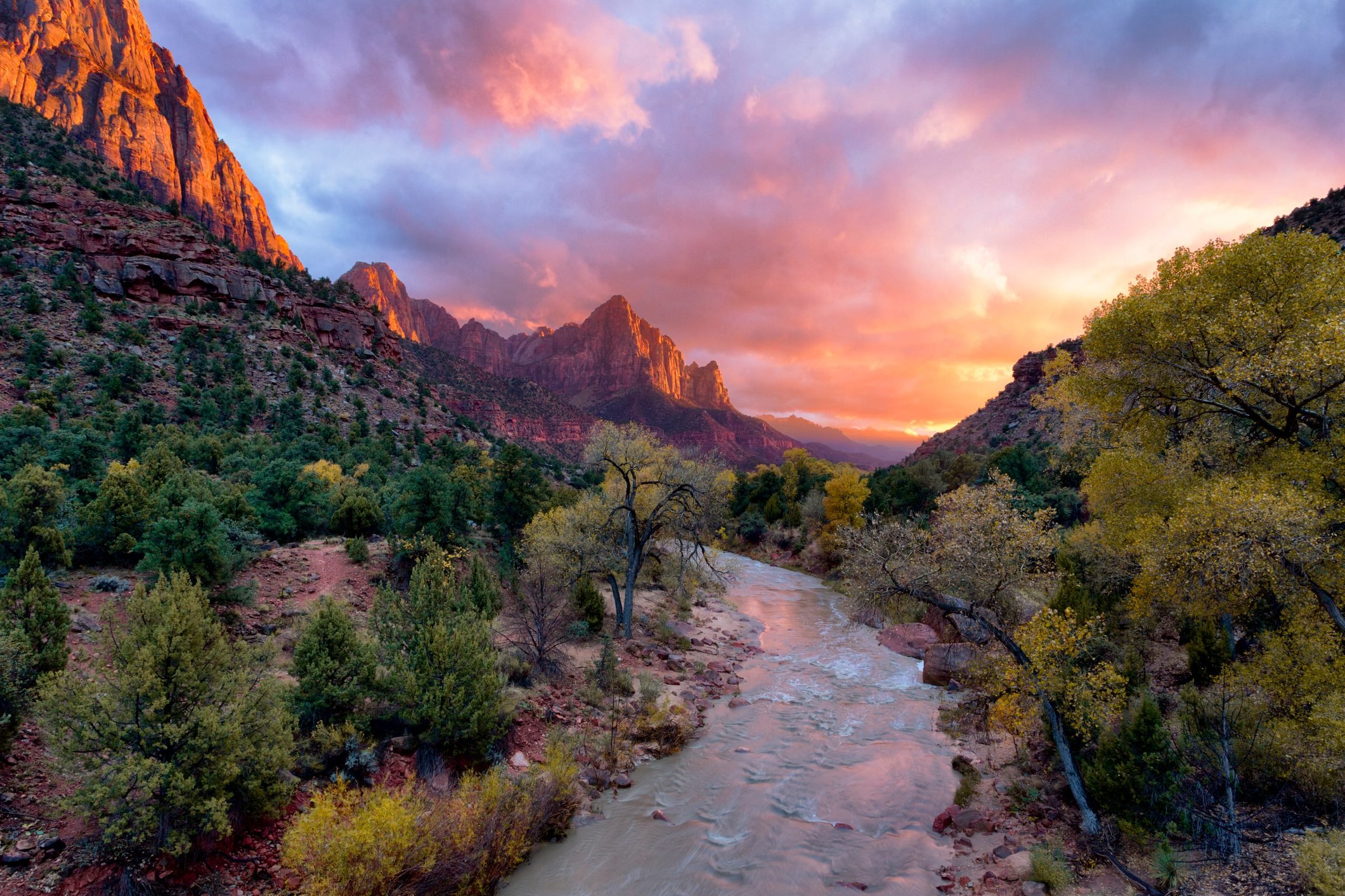 The Watchman, Zion National Park, Utah