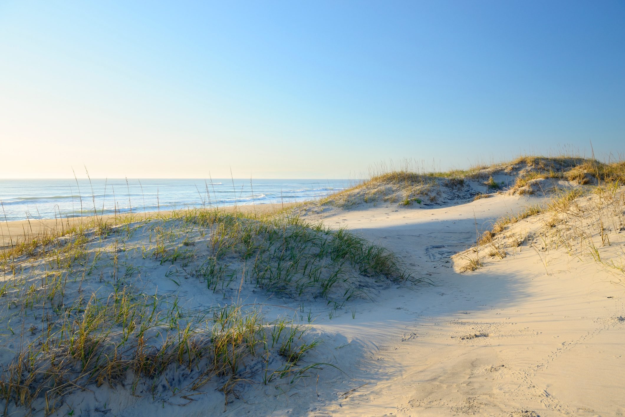 Warm light of sunrise along beach and sand dunes at Cape Hatteras in the Outer Banks of North Carolina.