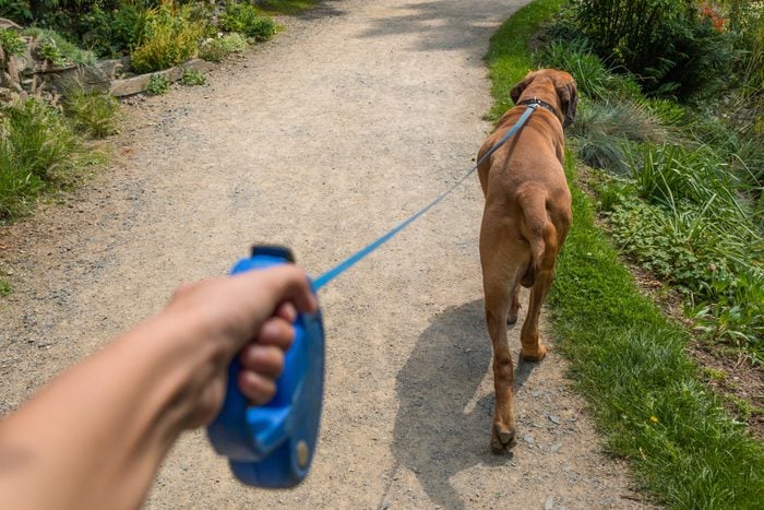 Man Walking Dog