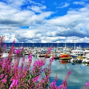 Homer, Alaska